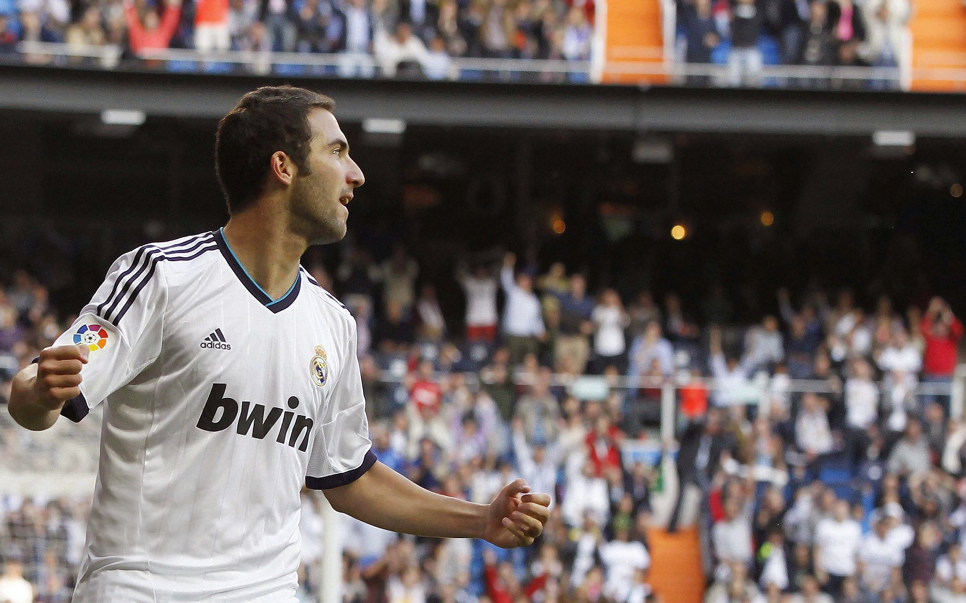 保定华信主场获胜，积分榜位置有所上升，2021华信信鸽俱乐部