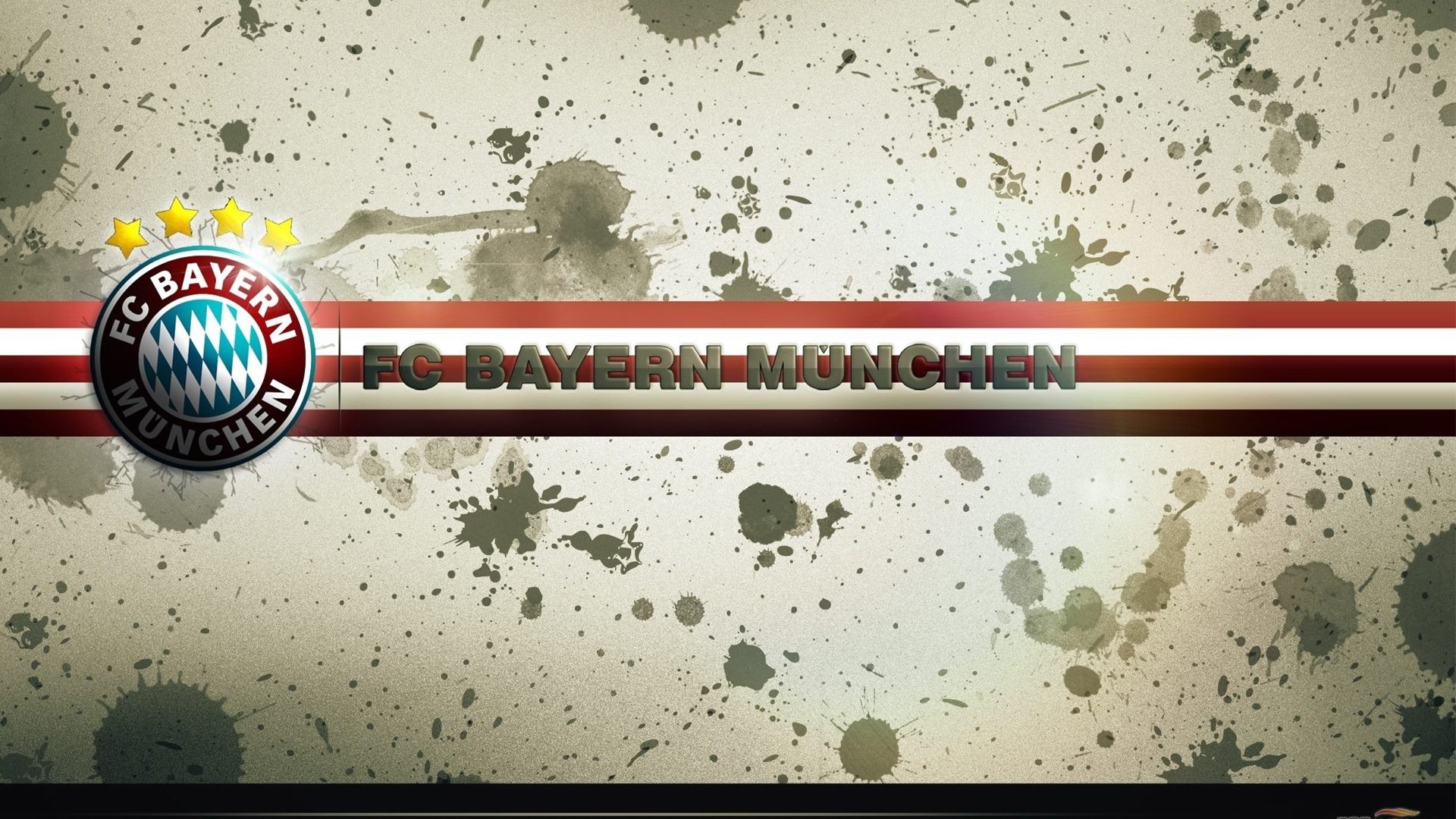 克罗地亚马术协会建立马匹基因数据库,促进马匹选育与训练。,克罗地亚 马可波罗